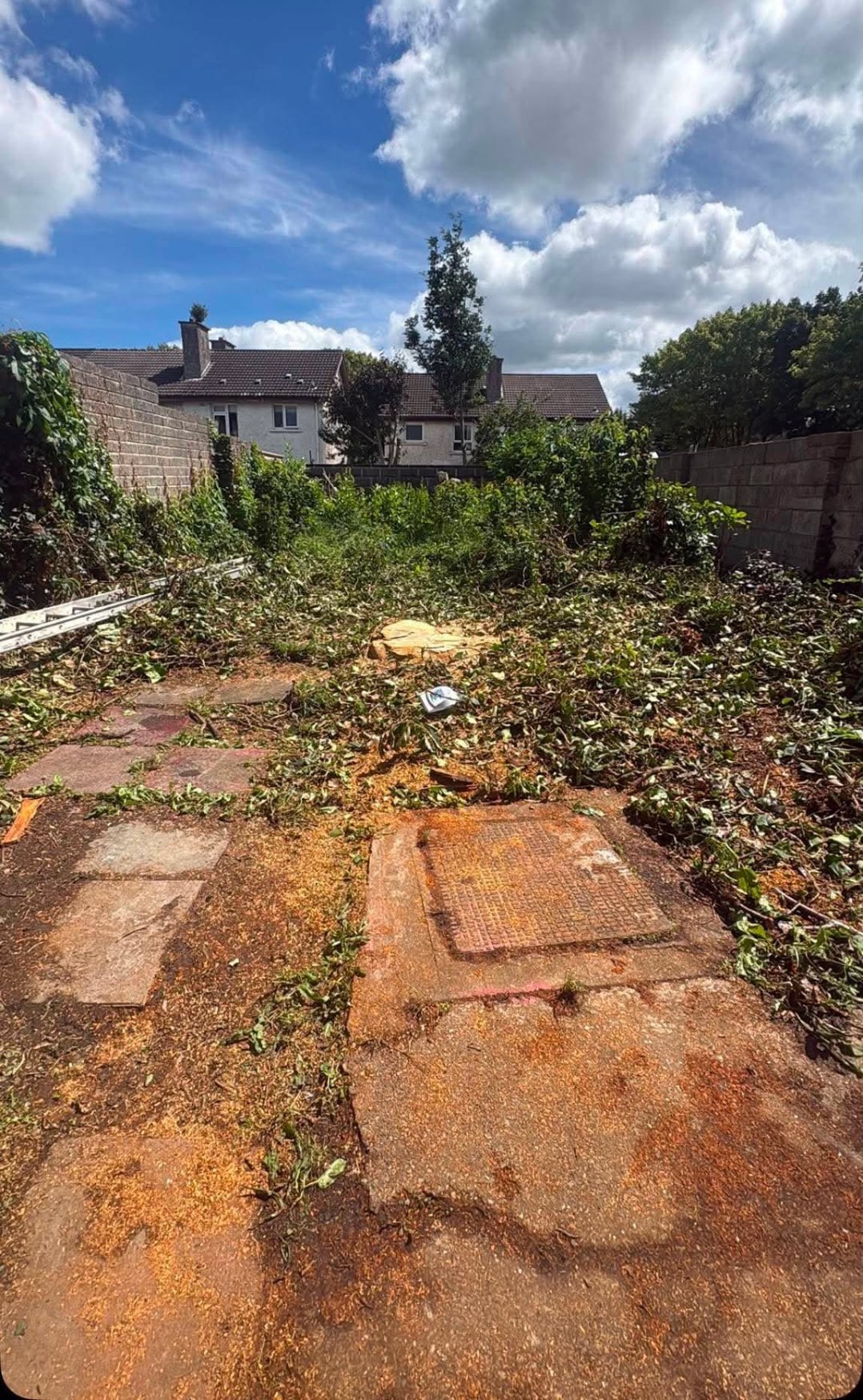 Same back garden with the tree taken down and cut branches ready to be cleared