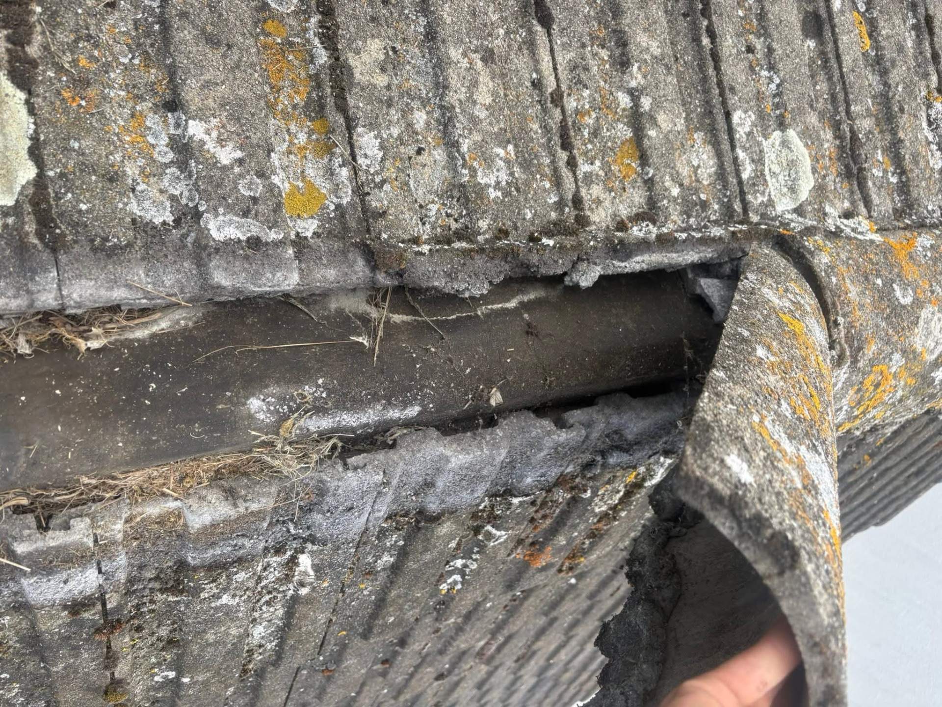 Close-up of an open gap beneath a ridge tile where mortar has failed